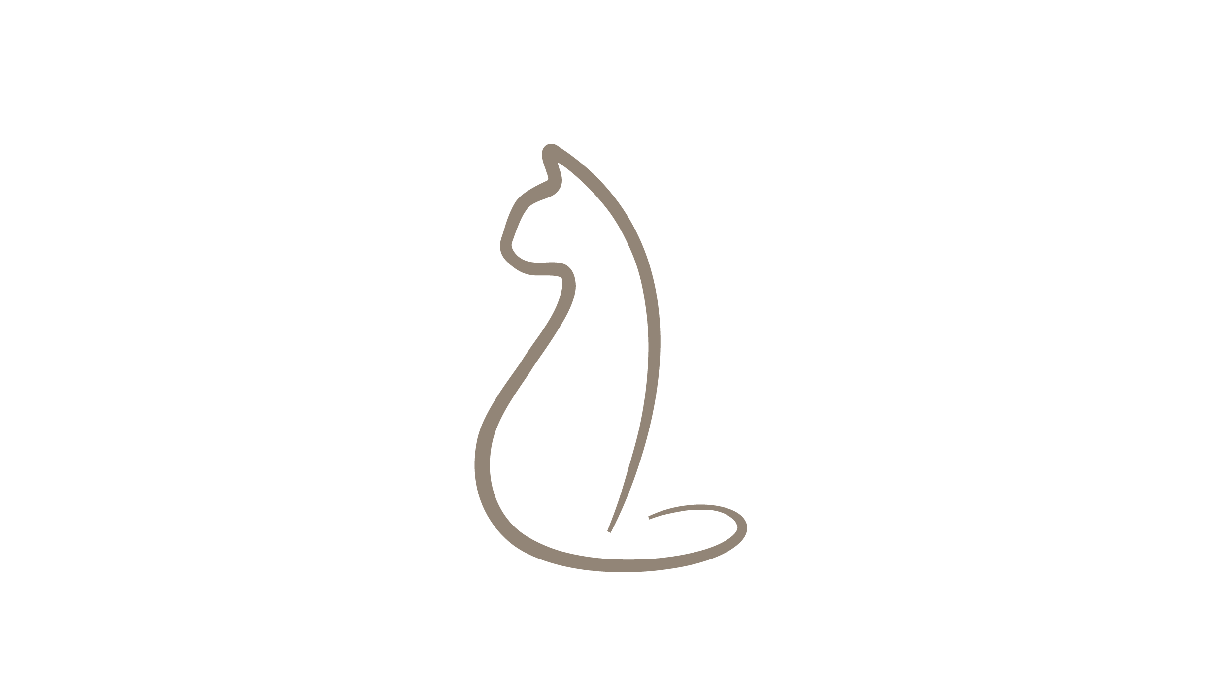 Katzenpraxis